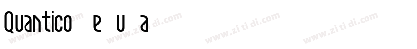 Quantico Regular字体转换